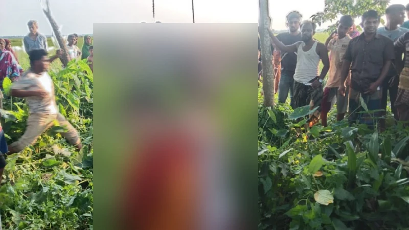 নেত্রকোনায় গাছের ডালে নবদম্পতির মরদেহ উদ্ধার