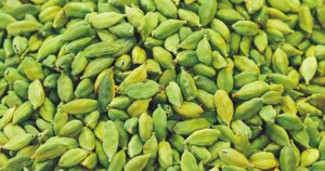 এলাচ খাওয়ার উপকারিতা জেনে নিন