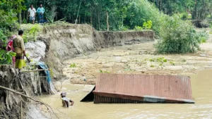 পদ্মা সেতুর জাজিরা প্রান্তে আবারও ভয়াবহ ভাঙন, আতঙ্কে শত পরিবার