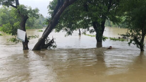 ফেনী ও কুমিল্লায় তীব্র বন্যার শঙ্কা