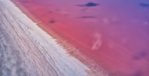 পিঙ্ক টাইড: লাতিন আমেরিকায় বামপন্থী জোয়ার