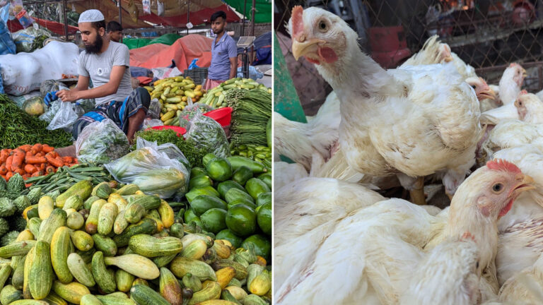 সবজির বাজার স্থিতিশীল, ডিম-মুরগির দাম অপরিবর্তিত