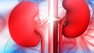 কিডনি সুস্থ রাখতে পারে এই ৩টি স্বাস্থ্যকর ফল