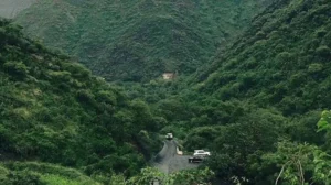 মদিনায় ২১ লাখ গাছ লাগিয়ে সৌদি আরবের পরিবেশবান্ধব উদ্যোগ