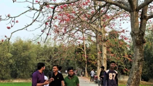 চিলমারীতে বসন্তের রঙে রাঙলো শিমুলতলা, দর্শনার্থীর ভিড়