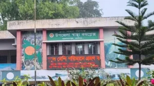 নাটোরে অ্যানথ্রাক্স আক্রান্ত গরুর মাংস খেয়ে অসুস্থ ১২ জন