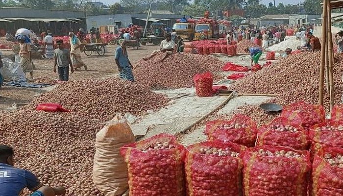 পাবনায় হঠাৎ পেঁয়াজের দরপতন, কৃষকেরা লোকসানে হতাশ