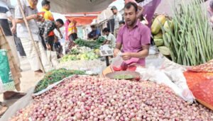 ভালো ফলনেও ন্যায্যমূল্য মিলছে না, লোকসানে ঈশ্বরদীর পেঁয়াজ চাষিরা