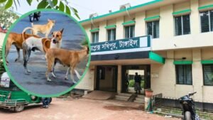 সখীপুরে পাগলা কুকুরের কামড়ে একদিনে আহত ৫৩ জন