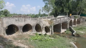 ঝুঁকিপূর্ণ সেতুতে চরম দুর্ভোগে ডিমলার তিন ইউনিয়নের মানুষ
