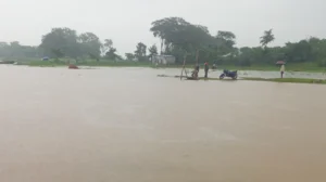 টানা বৃষ্টি ও পাহাড়ি ঢলে সুনামগঞ্জে বাড়ছে নদ-নদীর পানি, বন্যার আশঙ্কা