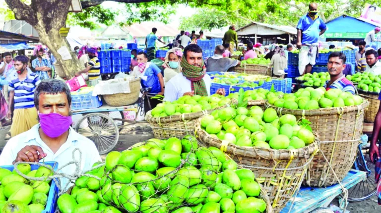 বানেশ্বর আমহাটে ‘ঢলন’ সিন্ডিকেটে জিম্মি চাষি