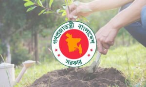 ২৫ কোটি গাছের কার্বন ক্রেডিট থেকে বছরে ১ বিলিয়ন ডলার আয়ের সম্ভাবনা বাংলাদেশের