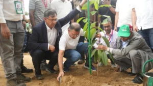 ২৫ কোটি বৃক্ষরোপণ কর্মসূচির উদ্বোধন করলেন প্রধানমন্ত্রী