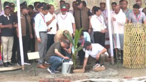 আগামী ৫ বছরে দেশে ২৫ কোটি গাছের চারা রোপণ করা হবে: প্রধানমন্ত্রী