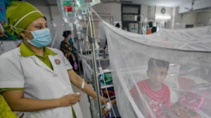 ডেঙ্গুতে ২৪ ঘণ্টায় আরও ৩ মৃত্যু, জুলাইয়েই প্রাণহানি ছয় মাসের দ্বিগুণ