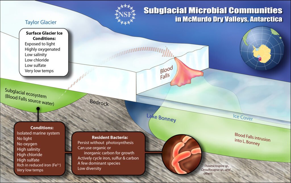 Image courtesy: US National Science Foundation